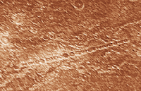 Цепочка ударных кратеров на Каллисто. Снимок сделан КА Galileo Orbiter в 1997 году